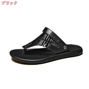 r[`T_ Y 2WAY @   ItBX T_ YT_ AEghA  r[` RtH[gT_  ~ zhL lC JWA  ₷