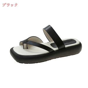 500~OFFN[| T_ fB[X q[3CM  EFbW\[ r ₷ gOT_ y Vv  r[`T_ ~[ C O ɂȂ  JW