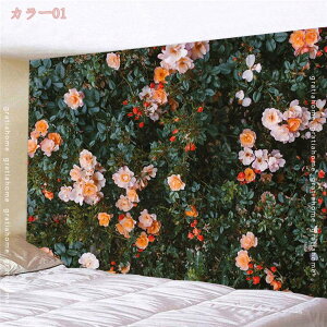 500~OFFN[| _C ^yXg[ i i R  唻 傫   Ǌ| J[e Xт̌iF CeA  t@ubN|X^[ z wiz e[N [g