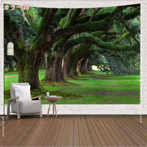 300~OFFN[| ^yXg[ iF  Xт̏  _ Ri ^yXg[ 唻 CeA ͋C]  z|X^[  @\Ǌ|  Ǌ|  X  