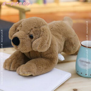 A  ʂ  l` {݂ ʂ ӂӂ /    j̎q ̎q  u   NbV YQ hV̓ M