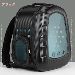 ybgbN FDJvZ^ Lp ^pCt Lp lR jR  obO bN^ybgL[ ybgL[ obO P[W ybgbN LobO LL[