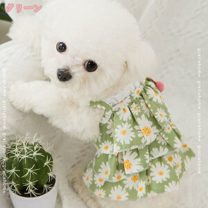 760~OFFN[| ybg  hbOEFA IV  ^ m[X[u L m t Ȃ ʋC ̕ s[X _炩 t@bV U o ` R[M