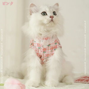   ybg hbOEFA  ^Ngbv t m Lm _炩 Ȃ ̕ Jbv L~\[ ^ ^ ̎q ʋC  U o ʋC y Up 