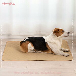 777~OFFN[| 􂦂ybgV[c ybg}bg pbh L  ybgp h}bg  gC~}bg Rh~ z EL ݑϐ RۉH ƃVjÃgCg[