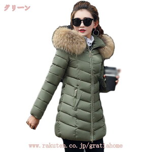 _EWPbg fB[X AE^[ ~h ~ y  50 40 30 20 JWA i  V[g ~ H 傫TCY l ItBX  킢 t@bV