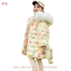 1000~OFFN[| _ER[g LbY WjA _ER[g ̎q h _EWPbg t[ht O R[g  ʊw LbY H~ q WjA AE^[ ~ ʉ AEg