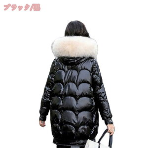 _EWPbg fB[X _ER[g  t@[t _E y h  傫TCY ۉ  ꂢ H ~ H~ AEghA  t@bV OR[g gr