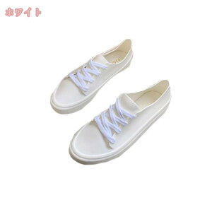 300~OFFN[| y fB[X CV[Y Jp C Xb| Xj[J[ ~ ʋ ʊw K[fjO EH[LO J̓ ~J΍ ₷  hV[Y 