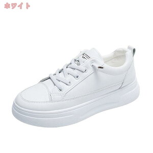 1000~OFFN[| fB[X _bhXj[J[ Xj[J[ Ȃ y ʊwC ʋΌC r EH[LOV[Y wȂ Xj[J[ JWA ʋC ^ jOV[