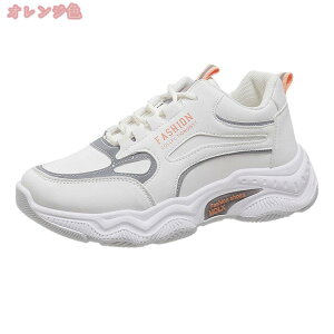 500~OFFN[| fB[X Xj[J[  _bhV[Y _bhXj[J[ Xj[J[ JWA fB[XV[Y jOV[Y ~ ₷ ʋC y ʊw 