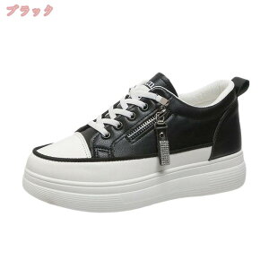 500~OFFN[| 5cmAbv Cq[Xj[J[ fB[X _bhXj[J[ r ɂ RtH[gV[Y ̎q tďH  s  [XAbv ʋΒʊw EH[L