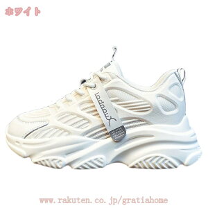 500~OFFN[| Xj[J[ fB[X _bhXj[J[ JWAV[Y C t@bV r Ȃ EH[LOV[Y ʊw ʋ ₷  ~ SC 