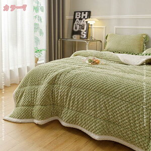 1000円OFFクーポン 毛布 ダブル フランネル ブランケット 秋冬用 静電気防止 軽くて暖かい掛け布団 あったか ふんわり 毛抜けない オールシーズン 洗えるかけ布団 柔らか 抗菌防臭 洗える 肩