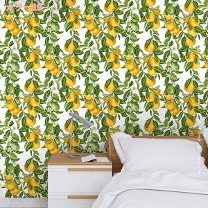 500~OFFN[| ǎV[  ԕ ʕ  ͋C] ̂t ǎ NX  DIY V[g CeA CNV[ h hJr ϔM CV[g LYB 