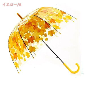 rj[P P WvP 傫 8{ ϕ ܂ɂ OXt@Co[ 䕗Ή wpP   hbg fB[XJP  ~J΍ ʋ ʊw lp amP Y 