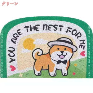 300~OFFN[| Oփ}bg 킢  􂦂 DƂ PVC}bg EFJ GgX}bg hA}bg k  L gC OhA}bg k pvc x_ Ce