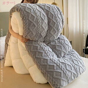 冬用掛け布団 真冬もしっかり暖かい 厚手 冬用の布団 冬用毛布 もうふ シングル かけ布団 保温力アップ 洗える布団 セミダブル フワフワの肌触り 四季利用可能 冬用の毛布 厚手毛布 加重毛