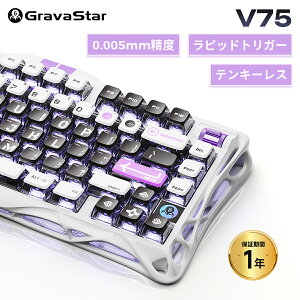 ubNtCf[20%N[|ƍō10P 11/270.005mmsbhgK[  GravaStar Mercury V75 Q[~OL[{[h eL[X 8000HzΉ 0.125msx L EP[u 75%CA