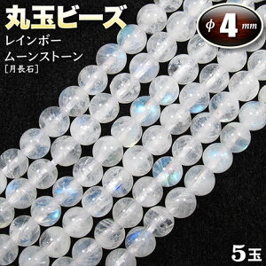 yozs6̒a΁tC{[[Xg[izCguhCgjEۋʃr[Y4mmʁq5ʓrEp[Xg[EVR΁EEnhChEEp[cE