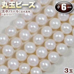 yozs6̒a΁tWp[mW^n`zCg`Eۋ(Z~Eh)r[Y6mmʁq3ʓrEp[Xg[EVR΁EEnhChEEp[cE