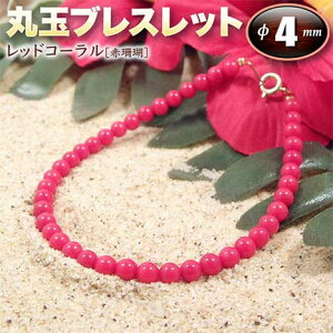 s3̒a΁tbhR[mԎXnEۋʃuXbg4mmʁE^CviY^fB[X^WjA^xr[^yAjEp[Xg[EVR΁EnhChEE