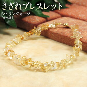 s11̒a΁tVgNH[cmnEuXbgE^CviY^fB[X^WjA^xr[^yAjEp[Xg[EVR΁EnhChEE