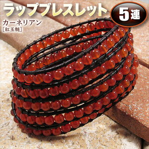 s7̒a΁tJ[lAmgʐnEbvuXbg5AEvR^CviY^fB[X^WjA^yAjEp[Xg[EVR΁EnhChEE邮