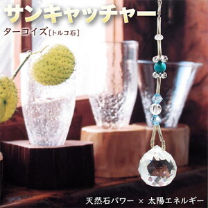 s12̒a΁t^[RCYmgR΁nEVR΂̒uTLb`[Ep[Xg[EVR΁ECeAEuEEJ^E򉻁EEVR΂ƑzGlM[Wp