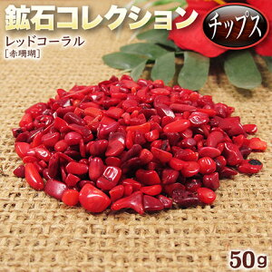 s3̒a΁tbhR[mԎXnEz΃RNV`bvXq50grEp[Xg[EVR΁EECeAEE򉻁Ey`OX֕sz