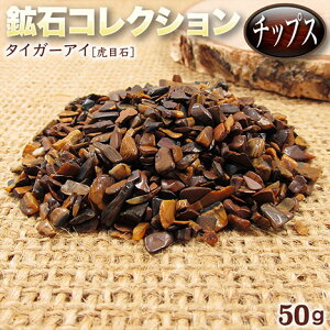 s^Abvt^CK[ACmՖڐ΁nEz΃RNV`bvXq50grEp[Xg[EVR΁EECeAEE򉻁Ey`OX֕sz