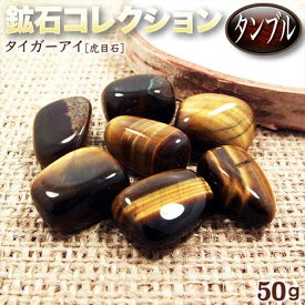 《金運アップ》タイガーアイ［虎目石］・鉱石コレクション◆タンブル◆〈約50g入〉・パワーストーン・天然石・インテリア・お守り・自然の姿の原石は石の波動が強力！【定形外郵便不可】