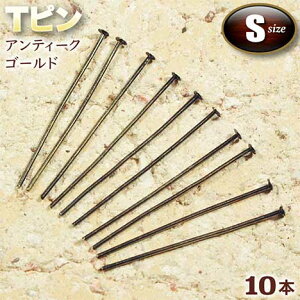 r[YɒʂăANZT[!ANZT[p[cEsTsESEAeB[NS[hq10{Zbgr p[Xg[X  p[c v[g Mtg GRAVEL