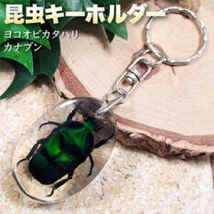 限定 チャーム 美術品の人気商品 通販 価格比較 価格 Com 限定 チャーム 美術品の人気商品 通販 価格比較 価格 Com