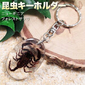 限定 チャーム 美術品の人気商品 通販 価格比較 価格 Com 限定 チャーム 美術品の人気商品 通販 価格比較 価格 Com