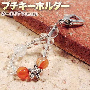 s7̒a΁tJ[lAmgʐnEv`L[z_[Ep[Xg[EVR΁EnhChEE`[EJ^EEႭĉI͋ƗEC^