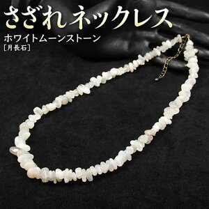 s6̒a΁tzCg[Xg[m΁nElbNXE^CviY^fB[X^yAjEp[Xg[EVR΁EnhChEE\m\