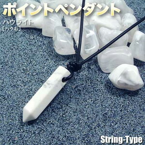 nECgmnE΁nE|Cgy_gELilbNXjvRdliY^fB[X^yAjEp[Xg[EVR΁EnhChEEEZp̐[p