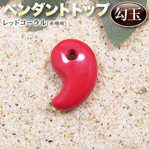 yozs3̒a΁tbhR[mԎXnEy_ggbvʁEp[Xg[EVR΁EnhChEEp[cE`[EE{×`閂