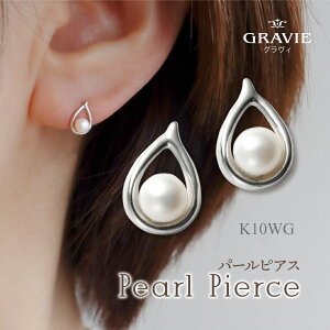 sAX K10WG Wp[ 10 zCgS[h  a j LO Mtg  Ǝ w  