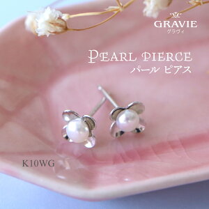 sAX K10WG Wp[ 10 zCgS[h t[ a j LO Mtg  Ǝ w  