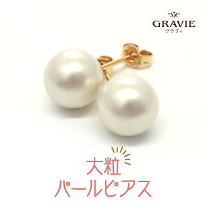 sAX p[ jbPt[ fB[X ANZT[ ꗱ v[g Mtg  JWA Ԃ a AM[Ή  Ǝ w 