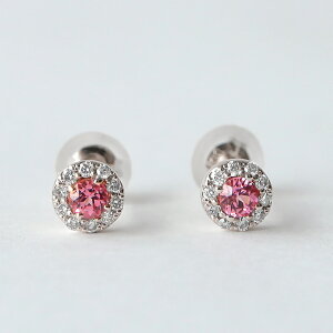 sAX 󏭐 Ai Xsl _Ch 0.08 K10 YG PG CG[S[hsNS[h zCgf[ ̓ fB[X LO   lC i ʋ ꂢ lۂ 