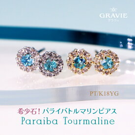 ピアス 希少石 パライバトルマリン ダイヤモンド 0.06ct K18 YG イエローゴールド PT プラチナ 18金 ネオンブルー 母の日 レディース 記念日 プレゼント 人気 資産