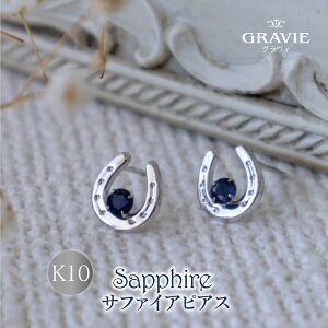 sAX Tt@CA K10 WG zCgS[h n z[XV[ X^bh ZJhsAX LO LO j a ig lC fB[X