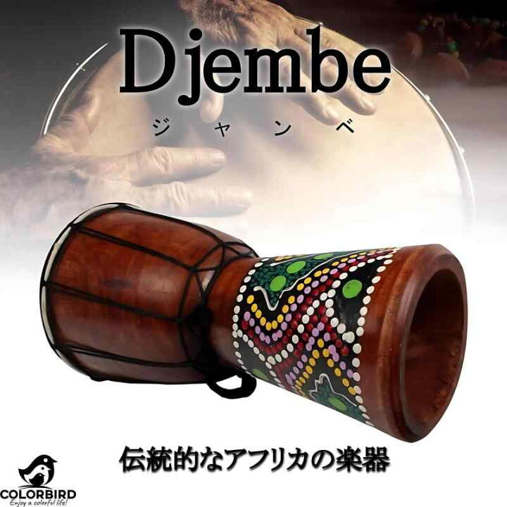 楽天市場】COLORBIRD ジャンベ 打楽器 楽器 太鼓 民族楽器 
