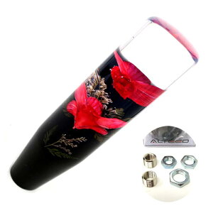 ԃVtgmu ԐF { ԍi 200mm 20cmOTCY MTAT gbNpԓ I[gh AUTOLAND