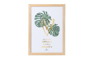 ܏z  tHgt[ ʐ^ ʐ^ A4EA3TCY Ǌ| cΉ 񂹏 J F菑 ӏ C Ə؏ \z? uC_ |X^[ Ƒʐ^ ?pl