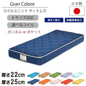 �y�労�ӍՁ�10��OFF�N�[�|���z�z�z�}�b�g���X 6�T�C�Y �V���O�� �Z�~�_�u�� �_�u�� �x�b�h�}�b�g���X ���Y ���{ 22cm 25cm 10�F �I�ׂ� �|�P�b�g�R�C�� �{���l���R�C�� �h�_�j �R�� �h�L �~�z�c 