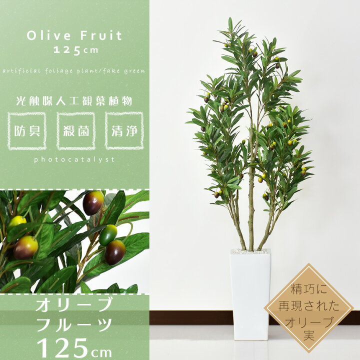 楽天市場 クーポン10 オフ 10 15 0時 10 16 24時 人工観葉植物 光触媒 オリーブフルーツ125cm 水やり不要 高さ125 インテリアグリーン 観葉植物 造花オリーブフルーツ125cm 送料無料 Grazia